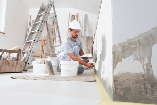  Oriole Beach, FL Mold Removal Pros