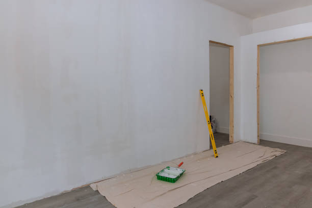 Best Mold-Related Health Consultation  in Oriole Beach, FL