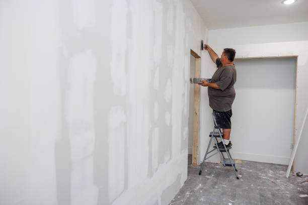 Best Crawl Space Mold Remediation  in Oriole Beach, FL