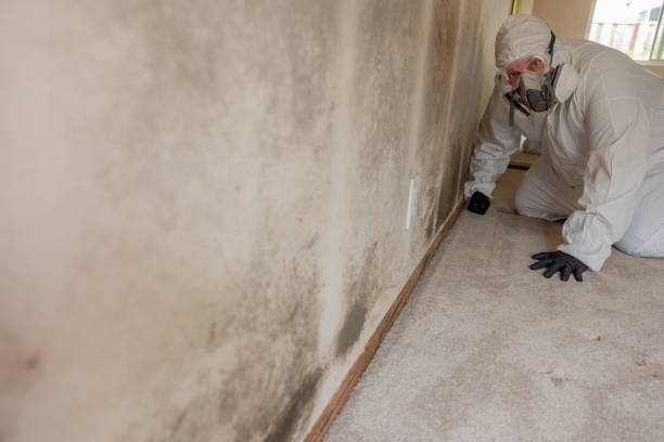 Best Post-Construction Mold Inspection  in Oriole Beach, FL